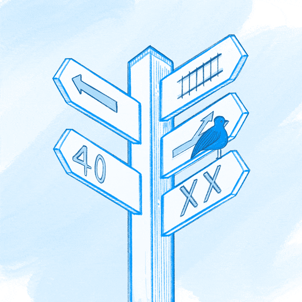 Blinking crossroads sign with bird