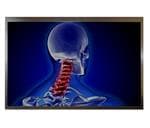 Hantronix HDA1010W-GH Vergrößertes Bild