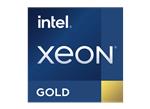 Intel Xeon® Gold Prozessoren (3. Gen.)