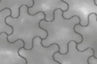 Infografik - Panasonic Industrial Devices EMA0600003B0 Transparente leitfähige Folie