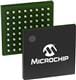 Microchip Technology ZL30107GGG2