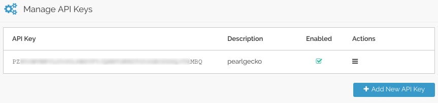 Newly Created API Key